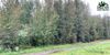 NHN HORSESHOE WAY photo